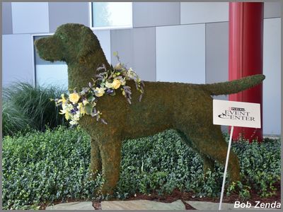 Purina Farms 5